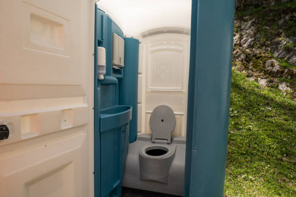 Best Affordable portable toilet rental  in Niles, OH