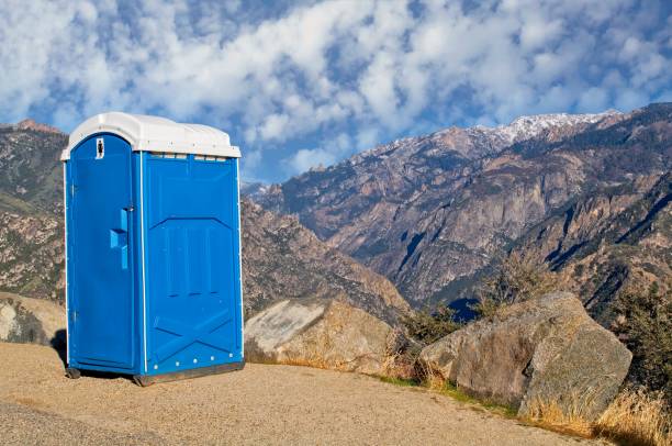 Best Affordable portable toilet rental  in Niles, OH