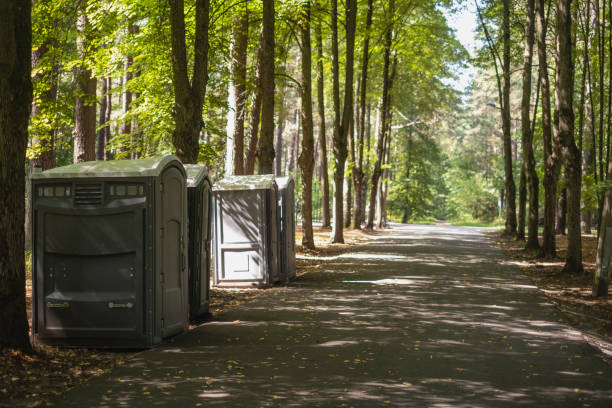 Best Best portable toilet rental  in Niles, OH